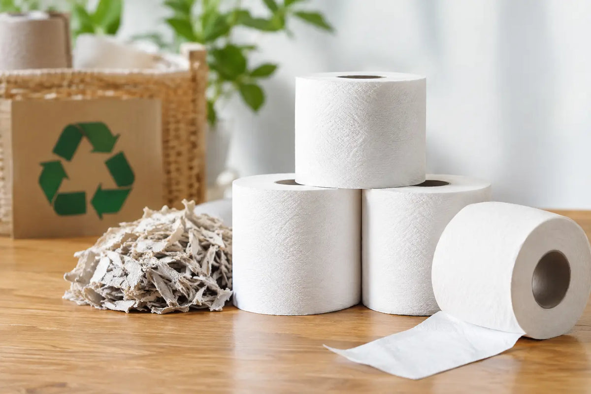 Recycled Toilet Paper Performance Review for Buyers