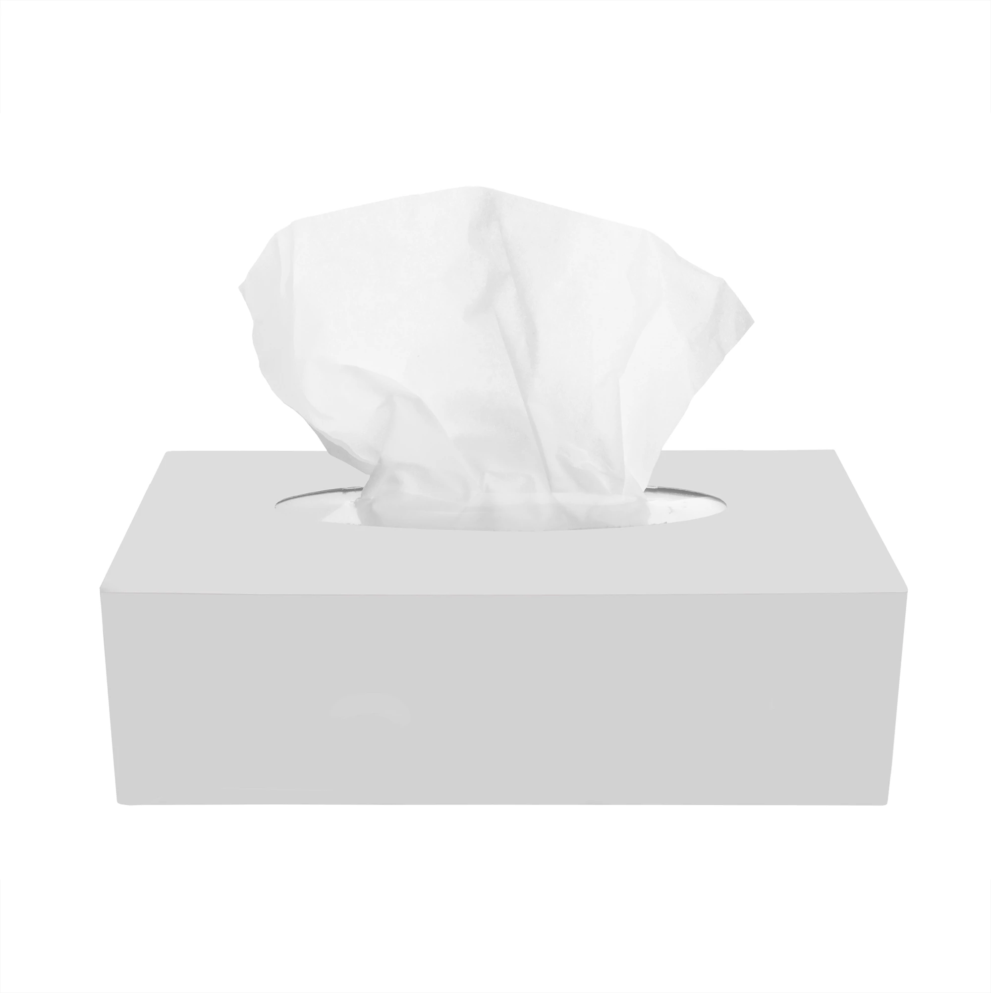 Facial Tissues 🌱